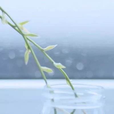 摩卡物语最新版游戏下载
